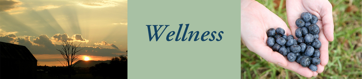 wellnesstemplate-2023.jpg